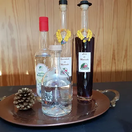 Casa De Baixo - Nature * Alvoco das Várzeas