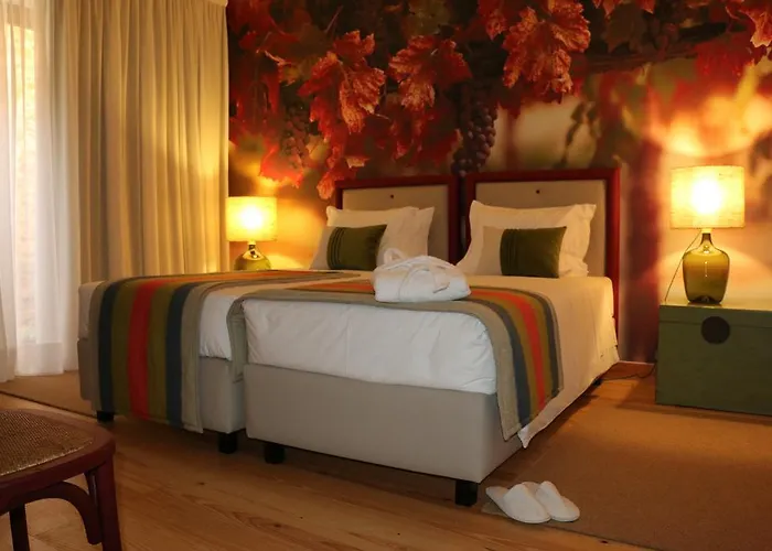 Casa De Baixo - Nature *