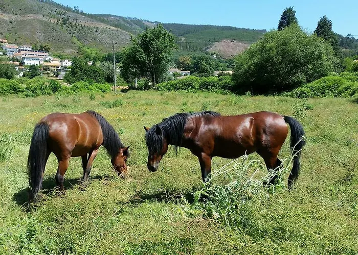 Фермерский дом Casa De Baixo - Nature Alvoco das Varzeas