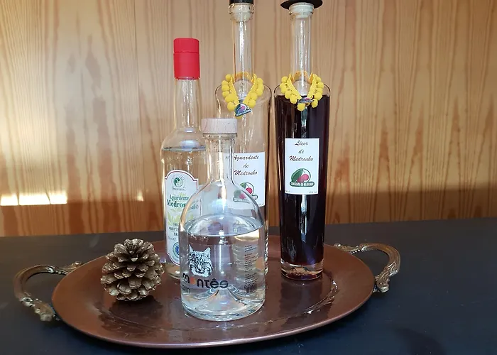 Casa De Baixo - Nature * Alvoco das Várzeas